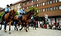 Skane (24)